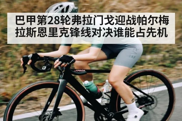 巴甲第28轮弗拉门戈迎战帕尔梅拉斯恩里克锋线对决谁能占先机