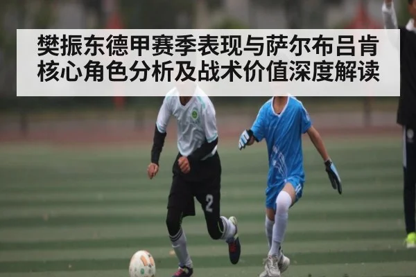 樊振东德甲赛季表现与萨尔布吕肯核心角色分析及战术价值深度解读